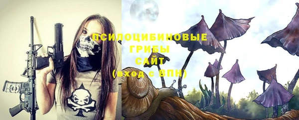 спайс Алексин