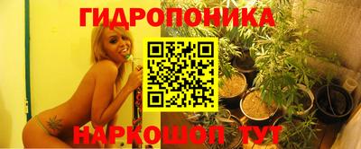 гидропоника Апшеронск