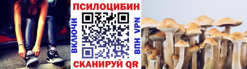 Псилоцибиновые грибы Psilocybine cubensis  Ачинск 