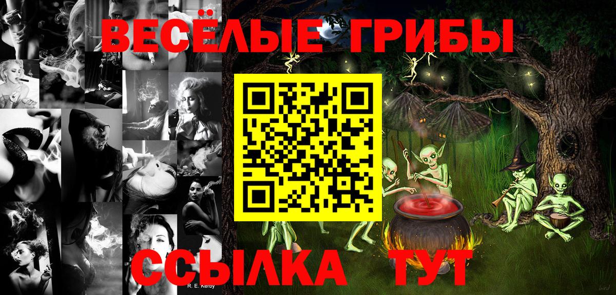 Ачинск  Галлюциногенные грибы Cubensis  купить наркотик  Вход с VPN 